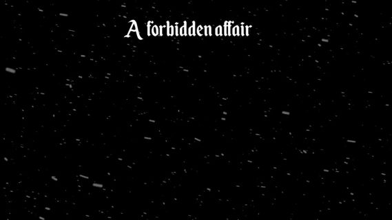 A Forbidden Affair