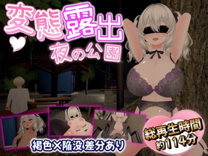 【全編3DCG】夜の公園で爆乳少女が絶頂オナニー
